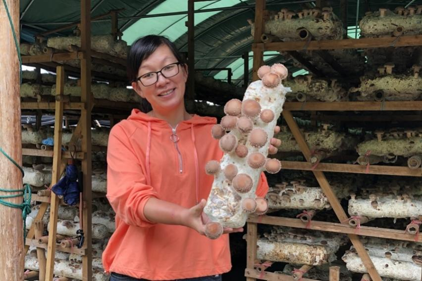 福建宁德：引凤筑巢 “弱鸟”如此腾飞